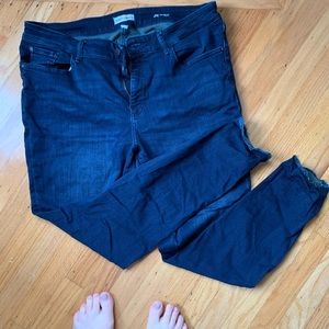 Warp + Weft JFK skinny jean plus size